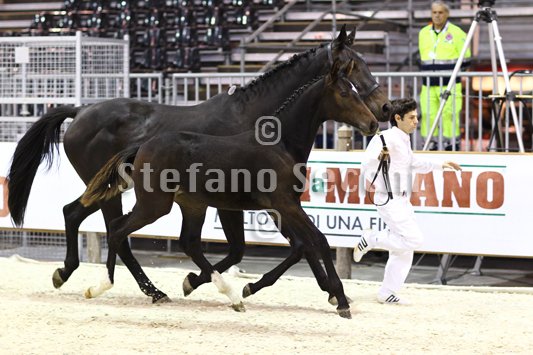 PRINCESS LIESA_MILANO_2010_SS3_7450.jpg